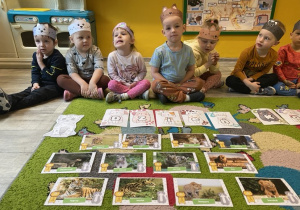 Dzieci zapoznają się z przedstawicielami dzikich kotów