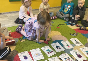 Zdjęcie 17 na 20