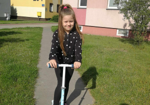 Zdjęcie 14 na 31