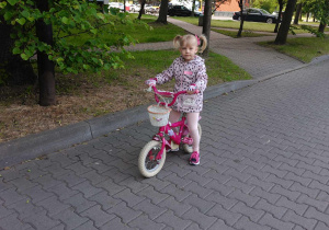 Zdjęcie 15 na 31