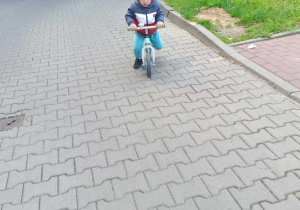 Zdjęcie 17 na 31