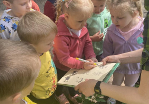 Otylia znalazła pokrzywę i zaznacza to na karcie pracy