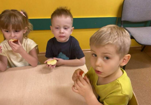 Degustujemy jabłka proso z sadu