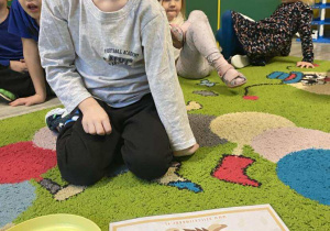 Illya doskonali przeliczanie- dopasowuje liście do odpowiedniej cyfry