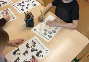 Oliwier grupuje koty wg jednej wspólnej cechy