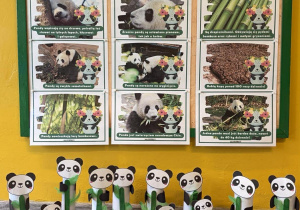 Praca plastyczno- techniczna Pandy z rolek po papierze toaletowym