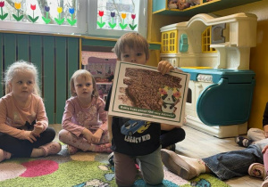 Michałek z ciekawostek o pandach zapamiętał, że robią kupę 100 razy dziennie