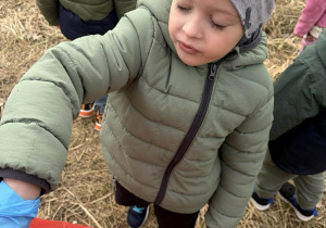 Maks kolejny odnaleziony śmieć dorzuca do worka.